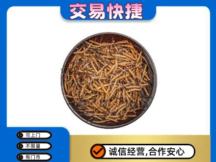 芒康县高价回收散虫草